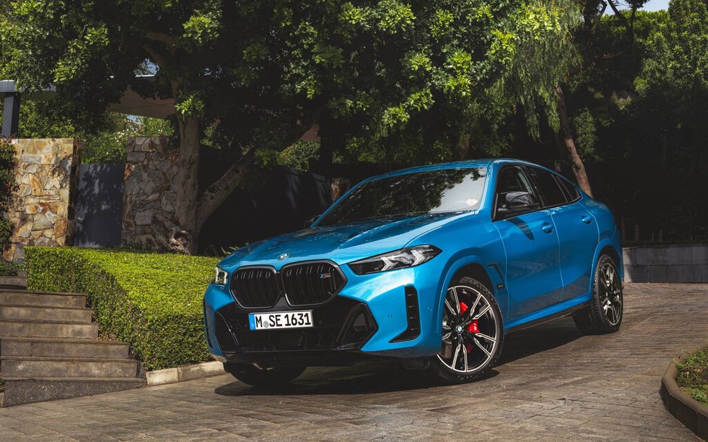 2025 BMW X6