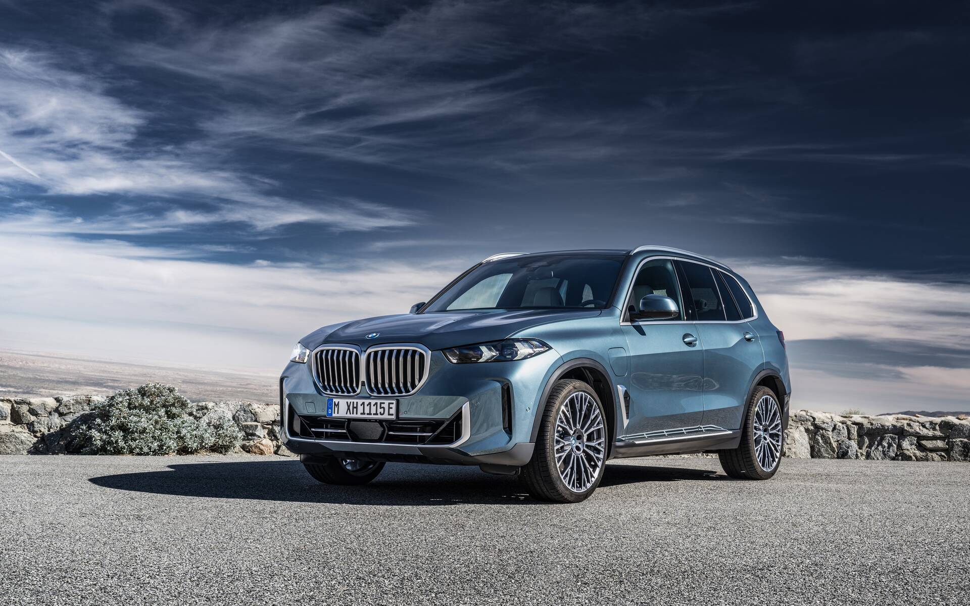 <p>BMW X5 xDrive50e</p>