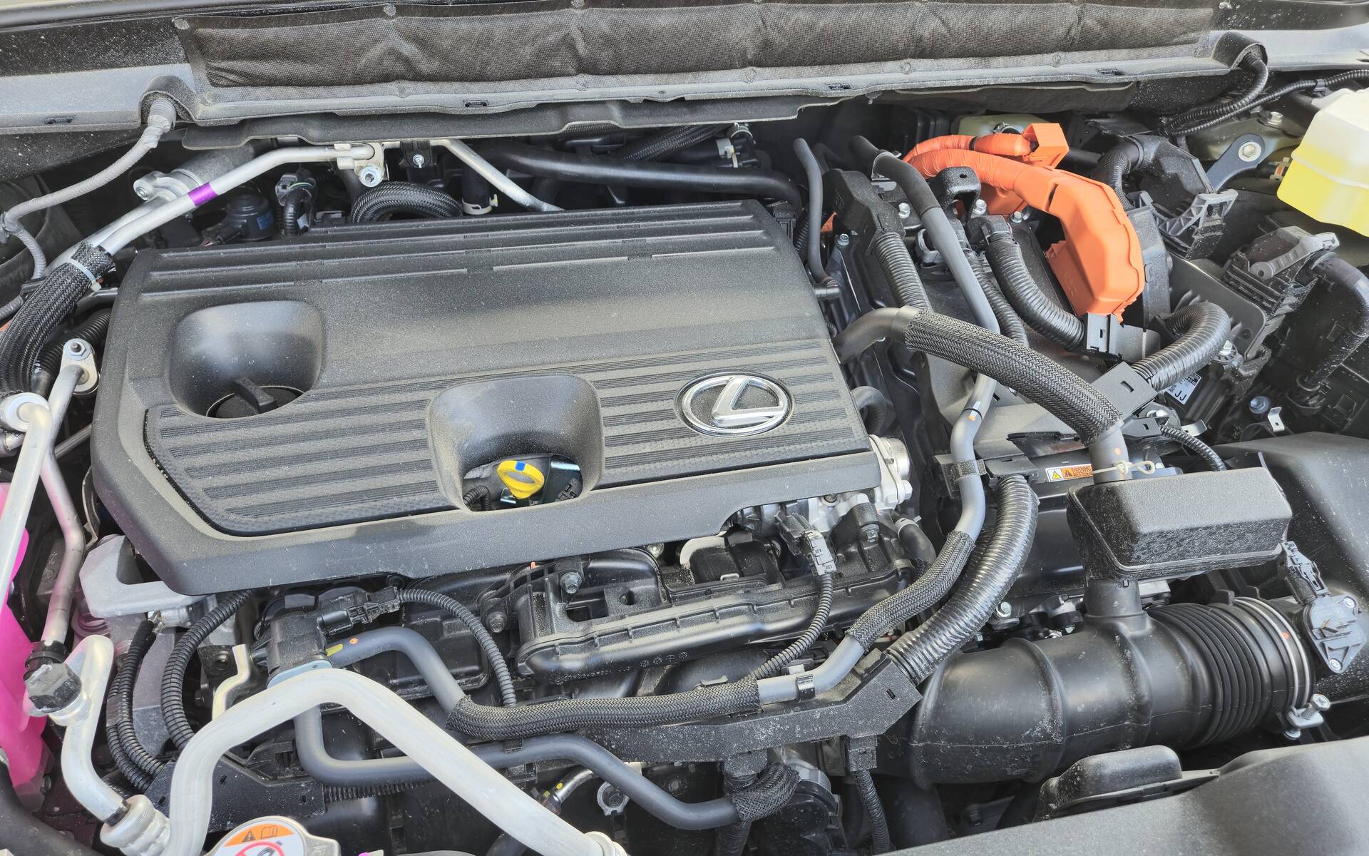 <p>Lexus RX 450h+</p>