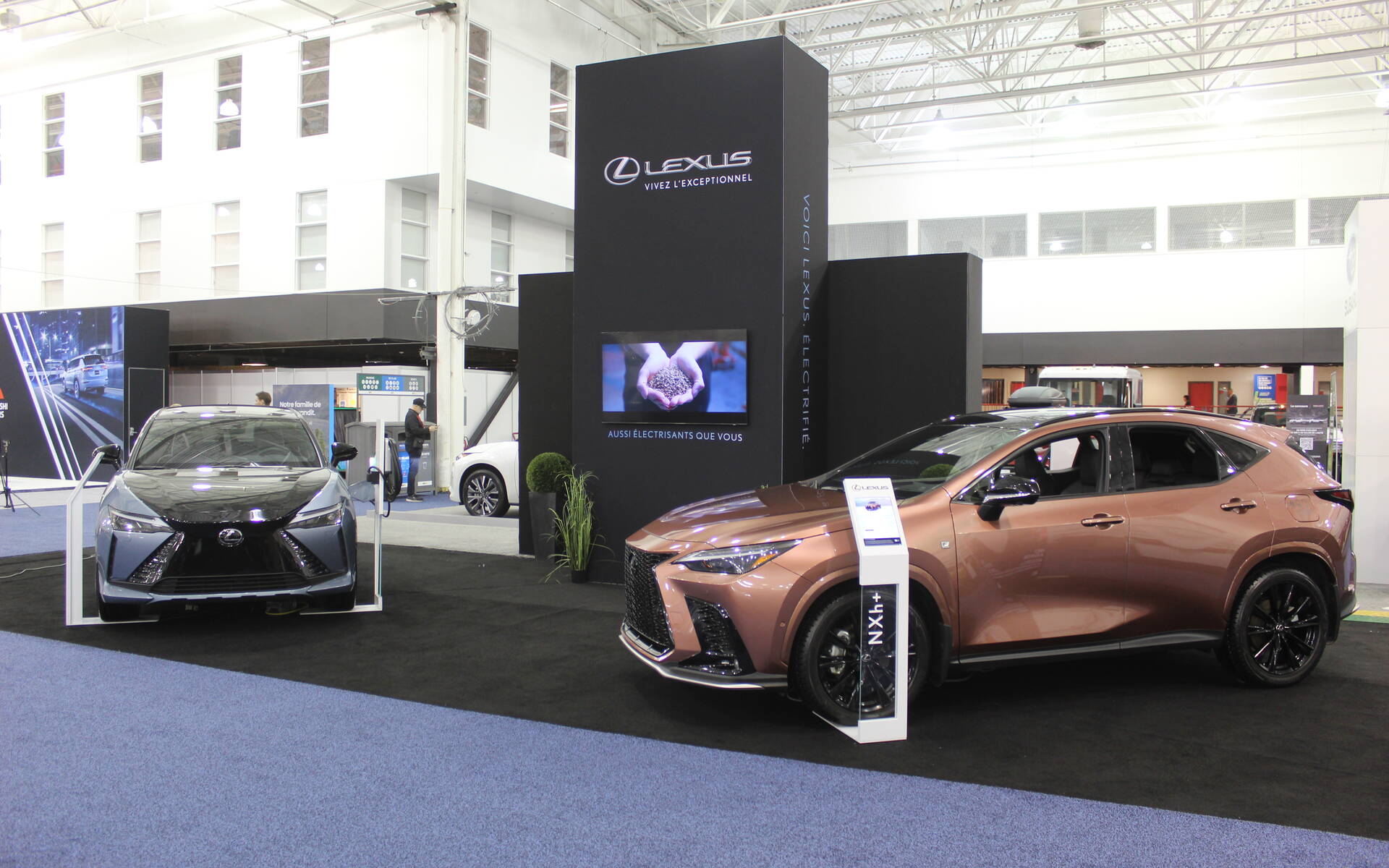 <p>Lexus RZ 450e and NX 450h+</p>